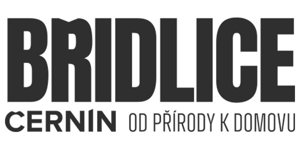 Obkladový kámen ŠAVLE